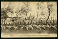 Cartes postales anciennes 13059